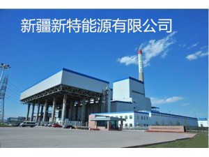 新疆新能源股份有限公司